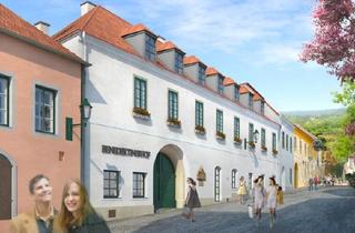 Wohnung mieten in 2352 Gumpoldskirchen, Das beste aus zwei Welten