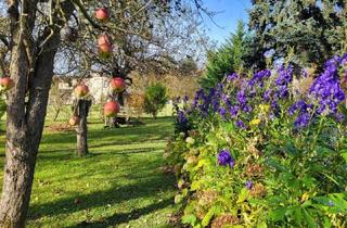 Bauernhäuser zu kaufen in 2533 Klausen-Leopoldsdorf, IDYLLISCHER LANDSITZ AUF ca. 3200m² BAULAND-AGRARGEBIET MIT VORRÜBERGEHENDEM WOHNRECHT ZU VERKAUFEN.
