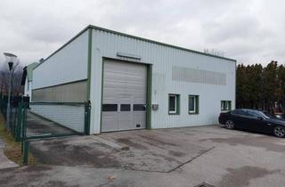 Gewerbeimmobilie mieten in 2511 Pfaffstätten, Betriebshalle mit Aufenthaltsraum, Waschraum, WC! Für Handwerk oder Lager!