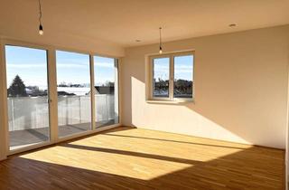 Wohnung mieten in 4113 Sankt Martin im Mühlkreis, Neubau Mietwohnungen im Herzen der Gemeinde