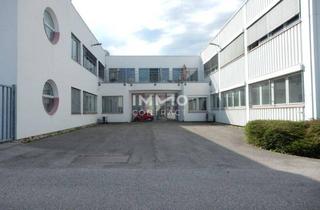 Gewerbeimmobilie kaufen in 1230 Wien, Inzersdorf - Gewerbeimmobilie auf ca. 6.981 m² Grundstück zu kaufen.