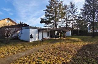 Grundstück zu kaufen in 2601 Eggendorf, Dein Baugrund wartet auf Dich