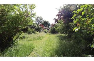 Villen zu kaufen in 2340 Mödling, Familienvilla/Altbau & 2. Baufläche, sonniger, ruhiger Westgarten