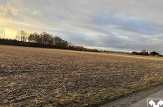 Grundstück zu kaufen in 5274 Burgkirchen, Ebenerdiges Ackerland nahe Ortszentrum Burgkirchen