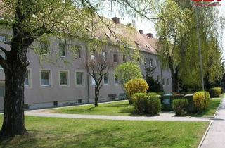 Wohnung mieten in Piberstraße 32, 8580 Köflach, Neu sanierte Singlewohnung in Thermennähe, auf Wunsch mit Schrebergarten