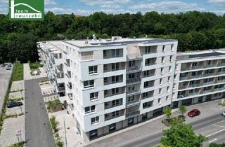 Wohnung mieten in Doktor-Wilhelm-Steingötter-Straße 25, 3100 Sankt Pölten, Steingötterhof: Stadt trifft Natur - Neubauwohnungen in wunderbarer Lage. - WOHNTRAUM