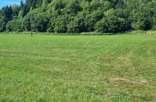 Grundstück zu kaufen in 9560 Rottendorf, Bauland Gewerbegebiet und Grünland Lagergebäude