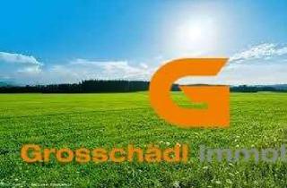  in 5202 Neumarkt am Wallersee, Baurecht: Gewerbegrund in Neumarkt