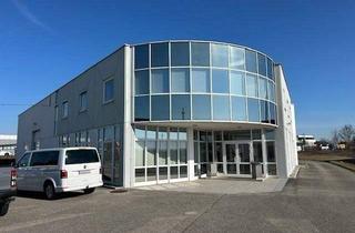 Büro zu mieten in 4614 Marchtrenk, Halle und schöne Büroräume mit Galerie und viele Parkplätze direkt an der B 1