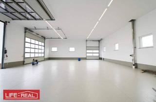Büro zu mieten in 4642 Sattledt, Neu sanierte Lagerhalle in zentraler Lage nahe Autobahnkreuz Sattledt
