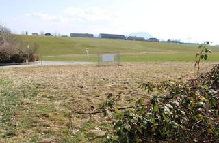 Grundstück zu kaufen in Äußerer Ring, 5201 Mödlham, Haus bauen auf der Sonnenseite-Teilbares Grundstück mit 940 m² in Mödlham