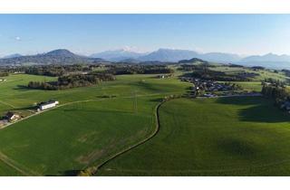 Grundstück zu kaufen in Äußerer Ring, 5201 Mödlham, Der perfekte Platz für Ihr Lebensprojekt - Preiswertes Baugrundstück mit 940 m² für Ihren Wohntraum im Grünen!