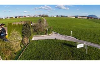Grundstück zu kaufen in Äußerer Ring, 5201 Mödlham, Der perfekte Platz für Ihr Lebensprojekt - Preiswertes Baugrundstück mit 940 m² für Ihren Wohntraum im Grünen!