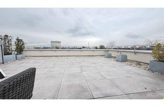 Wohnung kaufen in 2351 Wiener Neudorf, Licht, Weite und Privatsphäre auf höchstem Niveau – Dachgeschosswohnen mit außergewöhnlicher Terrasse und Fernsicht | ZELLMANN IMMOBILIEN