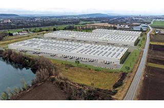 Gewerbeimmobilie mieten in Karl-Ahrer Straße, 3131 Walpersdorf, Logistik, Lager & Produktionsflächen im CTPark St. Pöten North 6.800 m² - 49.000 m²