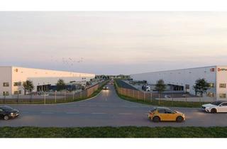 Büro zu mieten in Karl-Ahrer Straße, 3131 Walpersdorf, Logistik, Lager & Produktionsflächen im CTPark St. Pöten North 13.800 m² - 28.250 m² Halle B