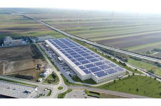 Gewerbeimmobilie mieten in Intercity-Park 16, 2421 Kittsee, Gewerbe, Lager & Produktionsflächen 6800 m² - 38.000 m² mit 12m Höhe im CTPark Kittsee