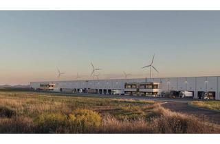 Gewerbeimmobilie mieten in Intercity-Park 16, 2421 Kittsee, Gewerbe, Lager & Produktionsflächen 6800 m² - 38.000 m² mit 12m Höhe im CTPark Kittsee