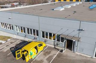 Lager mieten in Grüner Wald 27, 4810 Gmunden, Große Halle mit viel Platz!