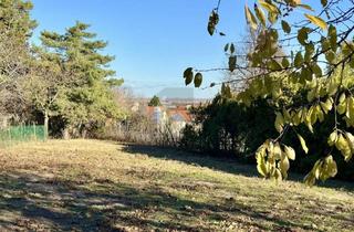 Grundstück zu kaufen in 7072 Mörbisch am See, AUFGESCHLOSSEN - SONNIGES, EBENES ECKGRUNDSTÜCK MIT ALTBAUMBESTAND