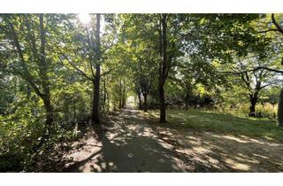 Grundstück zu kaufen in 2721 Bad Fischau, Ruhig gelegenes Baugrundstück mit eigener Zufahrt in Bad Fischau-Brunn