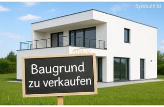Grundstück zu kaufen in 2603 Matzendorf, Attraktiver Baugrund inkl. Planung | perfekte Grundlage für ein Einfamilien- oder Doppelhaus