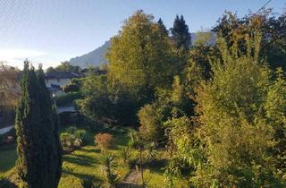 Grundstück zu kaufen in 5071 Wals, !!!LAGE!!! - GRUNDSTÜCK MIT ALTBESTAND - !!!LAGE!!!