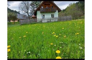 Bauernhäuser zu kaufen in Schwarzviertel 20, 8763 Möderbrugg, Kleines Bauernhaus mit Potential