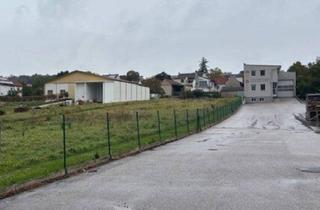 Lager mieten in 7100 Neusiedl am See, Neusiedl am See - Freifläche Nähe Ortsrandlage