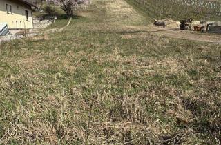 Grundstück zu kaufen in Kellergasse 183, 2103 Langenzersdorf, Rarität ! Attraktives, großzügiges Grundstück am Fuß des Bisambergs !