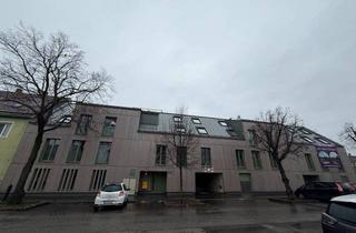 Wohnung mieten in Klederinger Straße 63, 1100 Wien, LOGGIAMIETE/ OBERLAA-KLEDERING: 74 m2 Neubaumiete, Wohnzimmer, 2 getrennt Schlafzimmer, Einbauküche, Gesamtmiete € 1.150,--