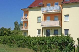 Wohnung mieten in 2170 Poysdorf, 3 Zimmerwohnung mit Balkon - Wohnzuschuss möglich