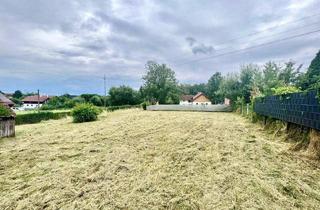 Grundstück zu kaufen in 4611 Buchkirchen, Schnäppchen - Grundstück mit genehmigter Doppelhaushälfte in Buchkirchen!