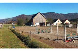Haus kaufen in 9371 Brückl, Landwirtschaft 11 ha, mit Hofstelle, Wald und Wiese