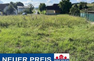 Grundstück zu kaufen in 3243 Diesendorf, NEUER PREIS: Baugrund im Mostviertel