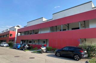 Wohnung mieten in Mittergriesweg 54/5, 3500 Krems an der Donau, Mittergriesweg 54/5