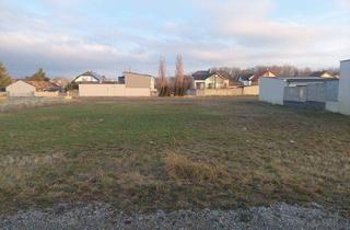 Grundstück zu kaufen in 2422 Pama, 2422 Pama - schönes Baugrundstück im Zentrum von Pama