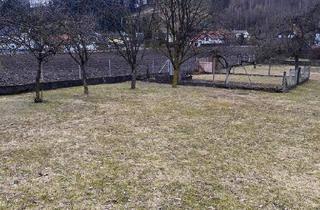 Grundstück zu kaufen in 4616 Weißkirchen, Viele Möglichkeiten! Großes Grundstück mit Bestandshaus!