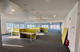 Büro zu mieten in Winterhafen, 4020 Linz, Moderne Bürofläche in Linz Zentrum mit Terrasse - 3. OG