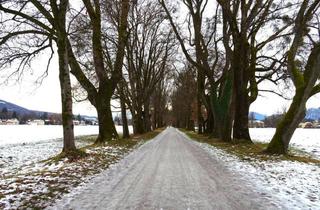 Grundstück zu kaufen in 5020 Salzburg, Top Adresse! 290 m² Grundstück in ruhiger Lage mitten in Salzburg-Herrnau