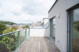 Wohnung mieten in 1190 Wien, Schöne Dachterrassenwohnung mit Fernblick