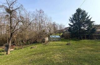 Grundstück zu kaufen in 4062 Thening, Baugrundstück im Grünen