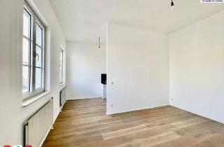 Wohnung mieten in 3430 Tulln an der Donau, ERSTBEZUGSWOHNUNG ZUR MIETE / 38m2 / inkl. KFZ Stellplatz