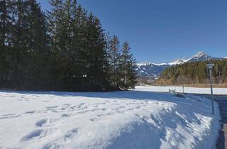 Grundstück zu kaufen in 6600 Breitenwang, Baugrundstück in sonniger Lage