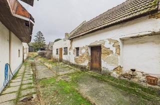 Grundstück zu kaufen in Grünaugasse, 2472 Prellenkirchen, 1160m2 Baugrundstück mit Altbestand in ruhiger Lage