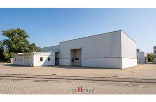 Büro zu mieten in Liebenauer Gürtel, 8020 Graz, Attraktive Hallenflächen in Graz-Puntigam