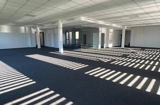 Büro zu mieten in Ignaz-Rüsch-Straße, 6850 Dornbirn, Moderne und hochwertige Büroflächen mit 300 m² in Dornbirn Nord – Erstbezug