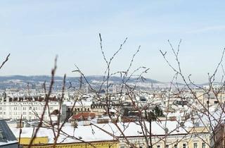 Maisonette kaufen in Reumannplatz, 1100 Wien, Dachterrasse mit sensationellem 360 Grad Rundumblick!