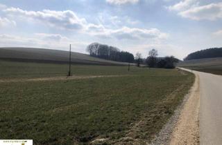 Gewerbeimmobilie kaufen in Renetsham, 4941 Mehrnbach, landwirtschaftliche Nutzfläche, Ackerfläche in Renetsham nahe Ried im Innkreis zu verkaufen