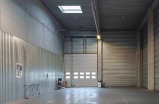 Büro zu mieten in 2351 Wiener Neudorf, Kombination Lagerhalle 450 m2 mit Büro 124 m2 in Wiener Neudorf